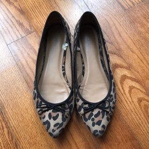 Leopard Flats
